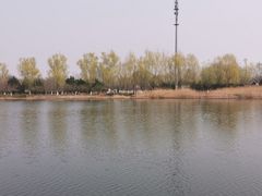 -永定河休闲森林公园