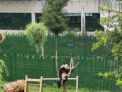 -沈阳森林动物园