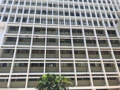 -香港大学