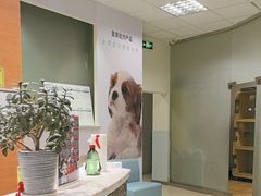 -瑞派申生动物医院·24H夜诊·国际动物医疗中心·骨外科(吴中路店)