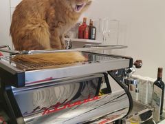 -Tempo Coffee(市二宮店)