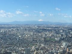 -东京都厅舍