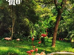-深圳野生动物园