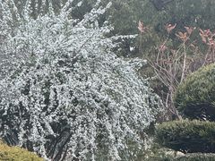 -麦当劳(鼓楼店)