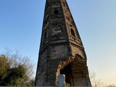 -上海佘山国家森林公园天马山园