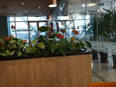 大堂-COSTA COFFEE(水游城店)