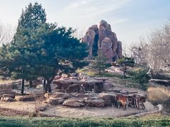 -北京野生动物园