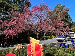 -广州市流溪河国家森林公园