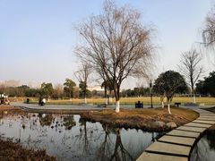 -鞠氏黑芝麻糊(水塔店)