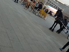 -鼎盛王朝康熙大典实景演出