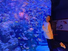 -成都浩海立方海洋公园