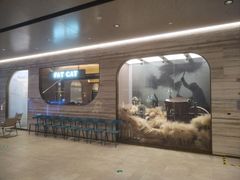 -佬肥猫(国华广场店)