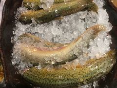 -哥老官重庆美蛙鱼头(宝山龙湖店)