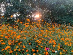 -钟山体育运动公园