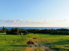 -龙坑生态保护区