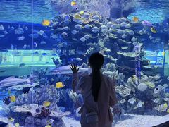 -左海海底世界