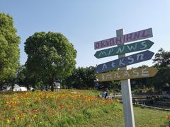 -鹅湖玫瑰文化园