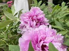 -合肥三国新城遗址公园