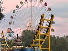 -茶芭蕾·新疆酸奶(美美1店)