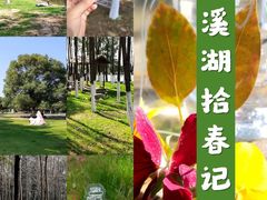 -艾溪湖湿地公园