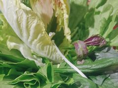 -爆棚肥牛火锅(原福成肥牛城味之缘三里河店)
