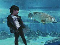 -苏州海洋馆