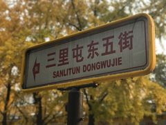 -三里屯东五街银杏大道