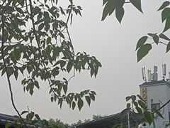 -糖房咖啡(南锣鼓巷店)