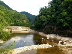 -牛背梁国家森林公园