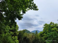 -灵隐飞来峰景区