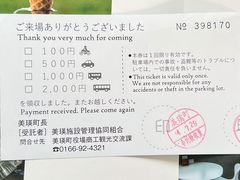 -青池