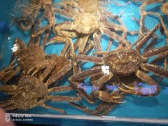 -拉完海鲜大排档(温岭店)