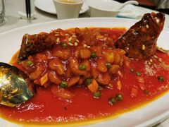 -蝶园·装修中(BFC外滩金融中心店)