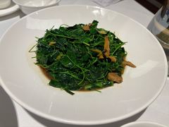 -洋洋中餐馆·SINCE 1997(信投店)