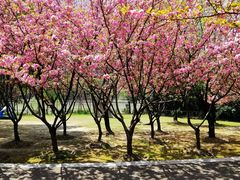 -苏州河梦清园环保主题公园