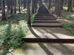 -武陵山森林公园