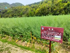 -贵阳市花溪国家城市湿地公园