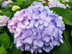 -新天地活力PARK