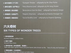 -西安市广仁寺