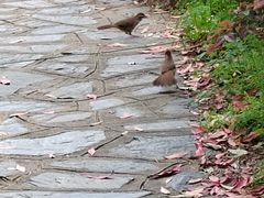 -石燕湖生态旅游景区