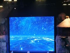 -芜湖新华联大白鲸海洋公园