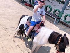 -渔岛海洋度假区