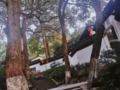 -杭州黄龙洞