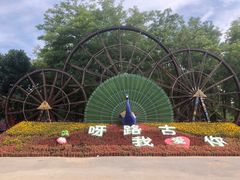 -呀路古热带植物园