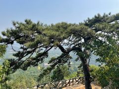 -北京西山国家森林公园