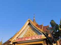 -西双版纳傣族园