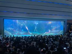-海合安成都极地海洋公园