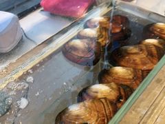 -十八字金银饰·拼豆·开蚌手工体验团建(君太百货店)