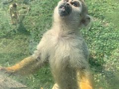 -石家庄市动物园