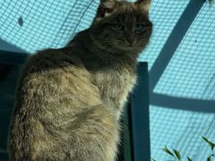 -青藏高原野生动物园